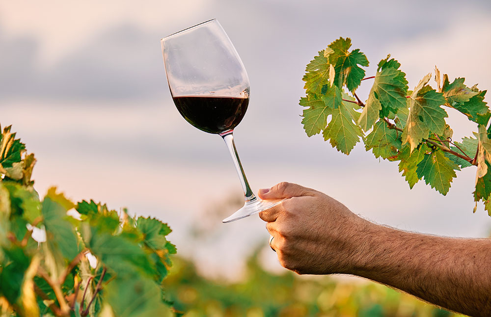 Presentación documental